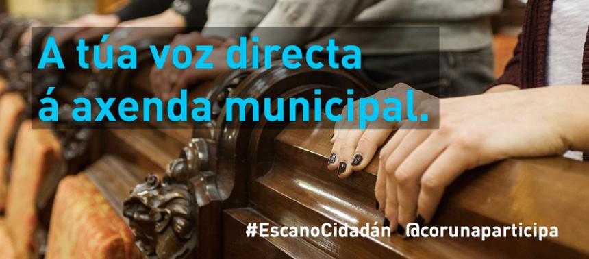 participación